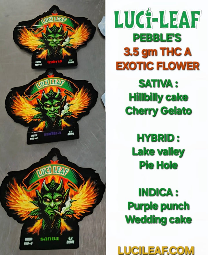 Lucileaf 3.5gm Pebbles Display 12 Ct.